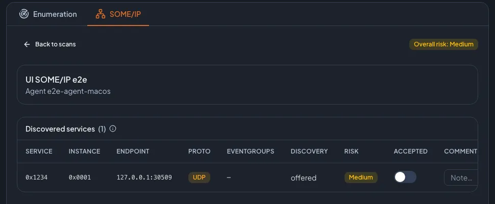 AutoST SOME/IP results showing a discovered service, instance, endpoint and protocol